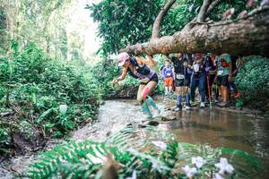 BIB: 
                            <button type="button" onclick="openModal(25471938)" class="btn btn-primary btn-sm float-right btn-popup" data-toggle="modal" data-target=".modal-high-quality">
                        <i class="fas fa-shopping-cart"></i> Add to Cart
                    </button>
                                            <button type="button" onclick="isThisMe(25471938, true)" class="btn btn-success btn-sm float-right btn-popup btn-isme hidden" data-toggle="tooltip" data-placement="bottom" title="นี่คือรูปของคุณใช่ไหม คลิกที่นี่เพื่อเอาเข้าอัลบั้ม">
                        <i class="fas fa-plus"></i> Add to album
                    </button>
                    <button type="button" onclick="isThisMe(25471938, false)" class="btn btn-warning btn-sm float-right btn-popup btn-isnotme hidden">
                        <i class="fas fa-ban"></i> Remove from album
                    </button>